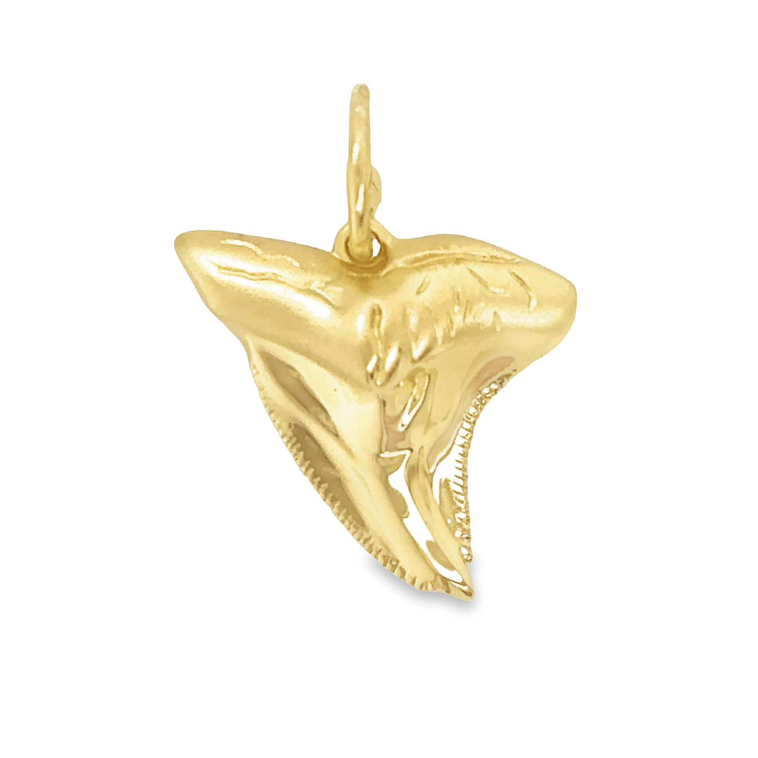 Gold shark tooth pendant from our exclusive jewelry collection.