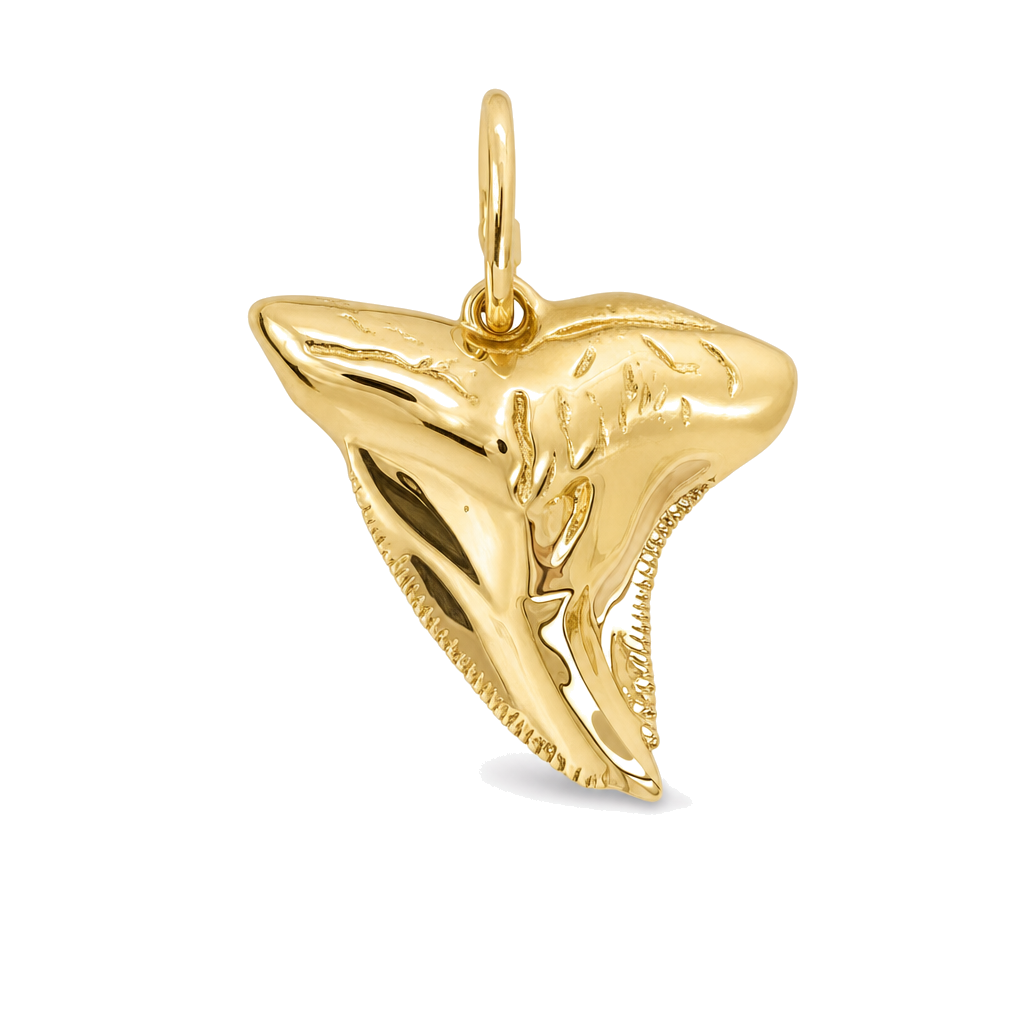 Shark Tooth Gold Pendant