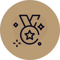 Stylized icon of a medal with stars and sparkles, representing achievement and excellence.
