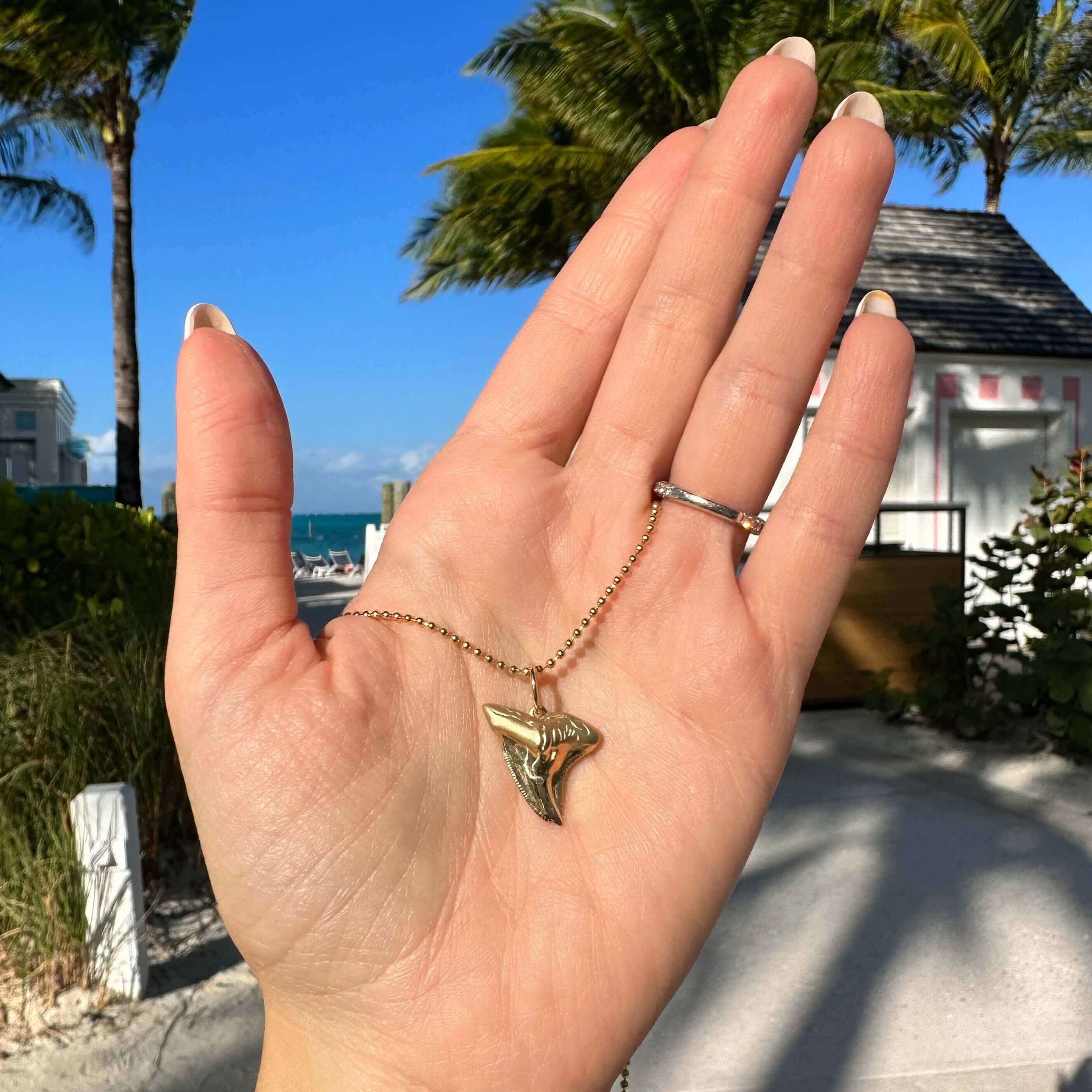 Shark tooth deals pendant